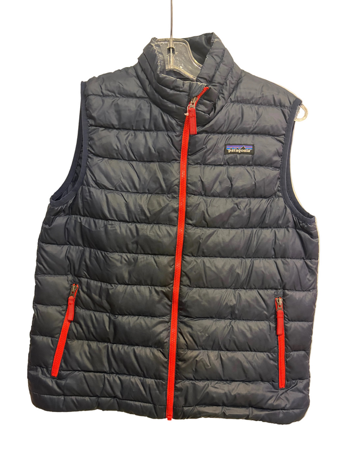 Patagonia Puffer Vest